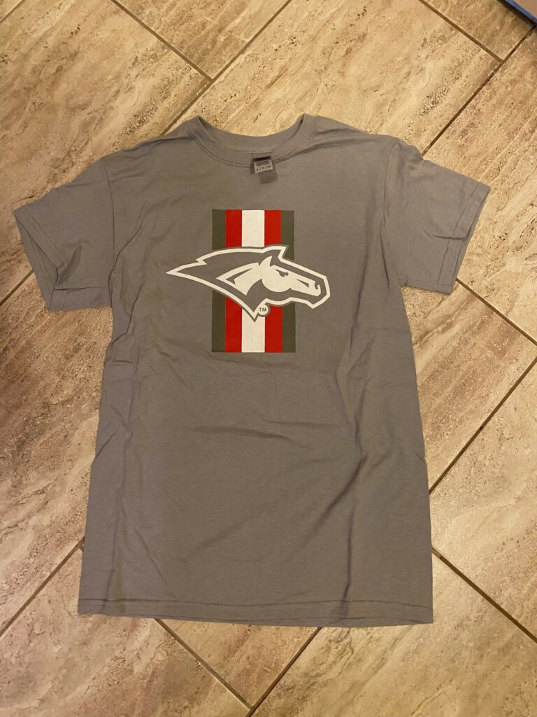 Gildan Cotton T-Shirt