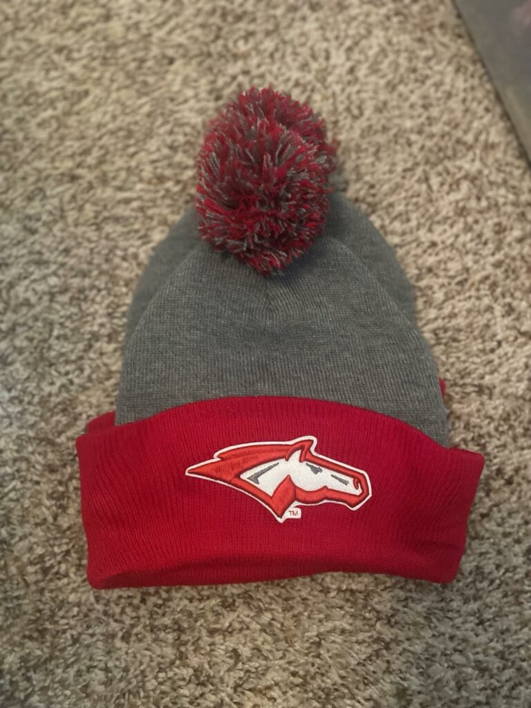 Gray and Red Stocking Cap