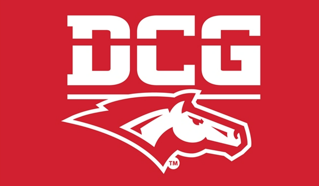 DCG 3 x 5 Flag