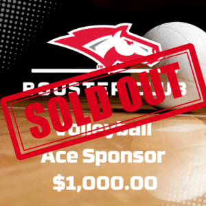 DCGTV - Volleyball Ace Sponsor