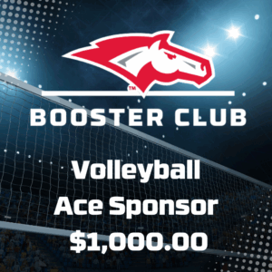 volleyball ace sponsor