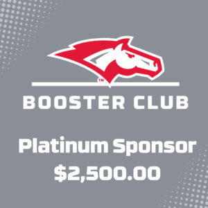 Platinum Sponsor