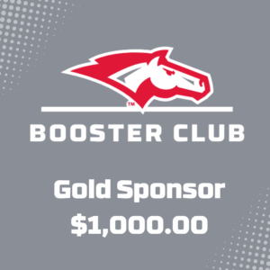Gold Sponsor