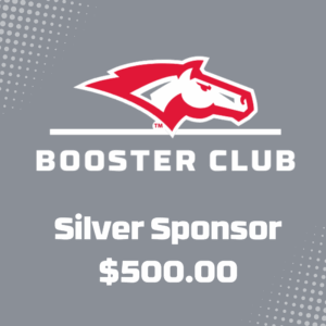 Silver Sponsorship