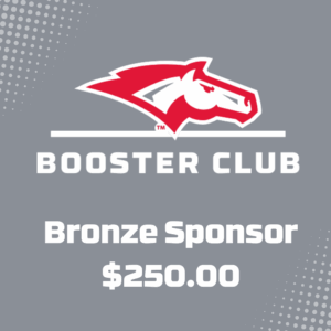 Bronze Sponsorship