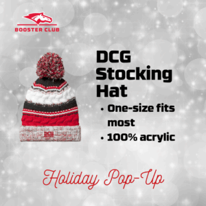 DCG Stocking Hat with Pom Pom