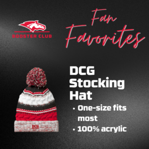 DCG Stocking Hat with Pom Pom