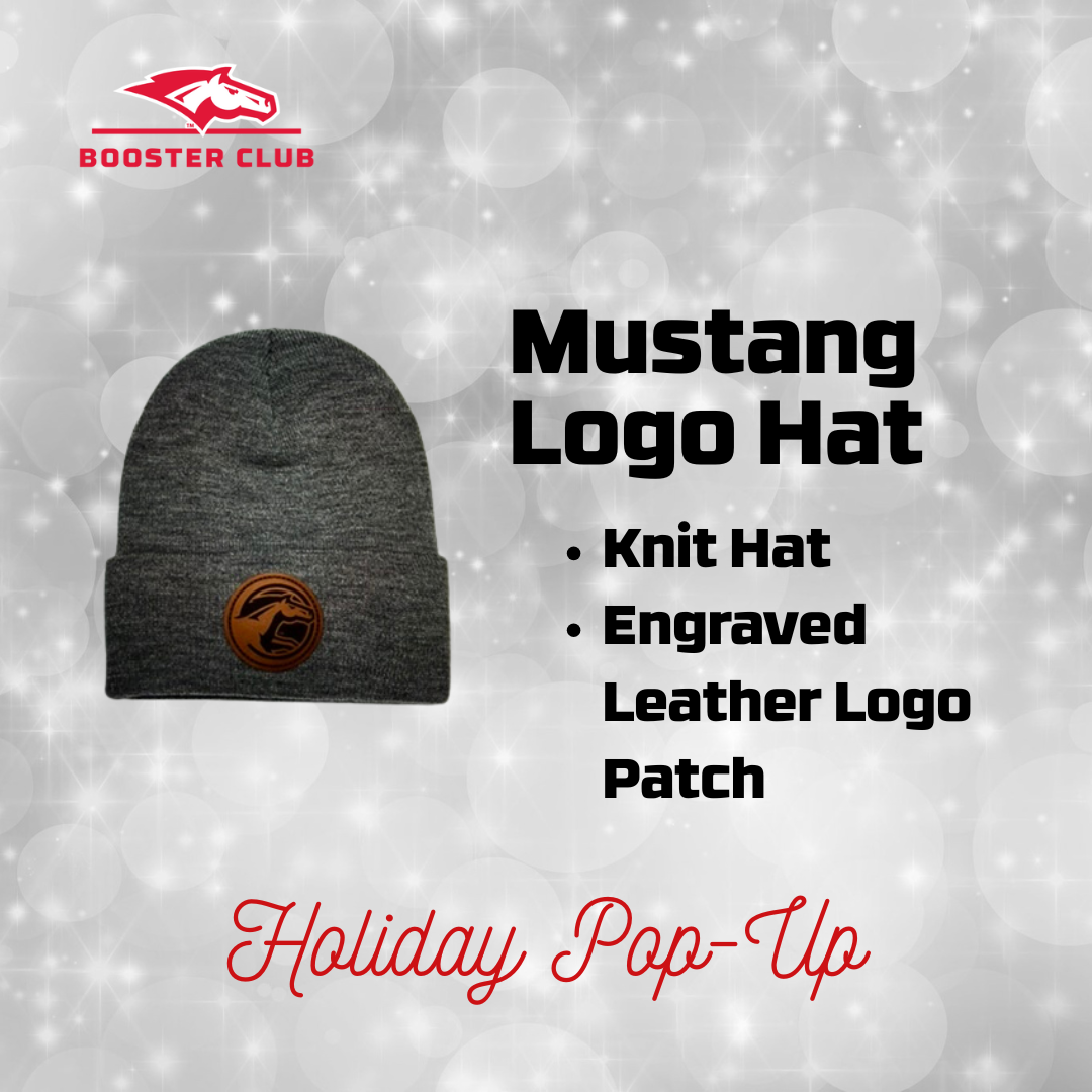 DCG Knit Hat w/ Leather Patch